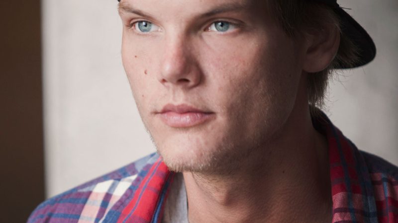 Avicii_2014_003